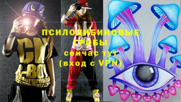 индика Алексеевка