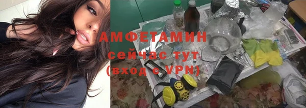 индика Алексеевка