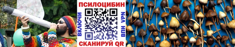 Галлюциногенные грибы мицелий  Качканар 