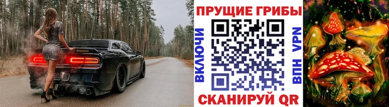 Псилоцибиновые грибы мицелий Качканар